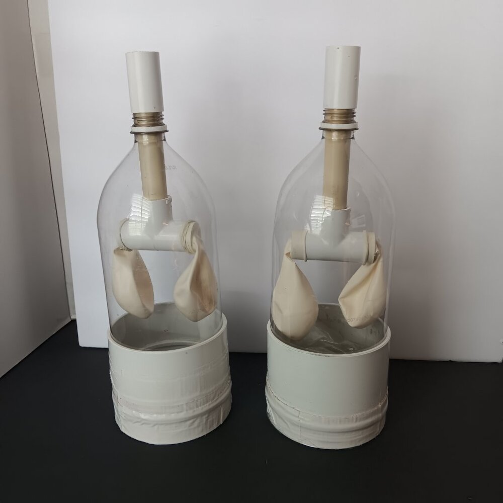 Student Respiratory System -Working Lung - Model